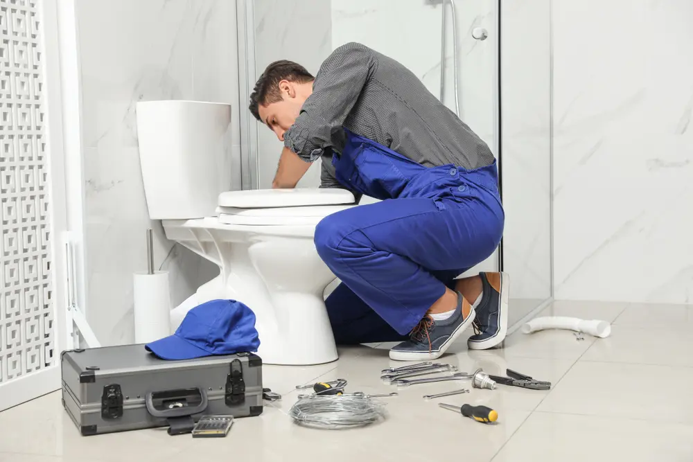Toilet Installation in Oakton